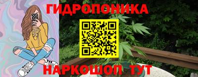 прущие грибы Дубна