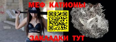 прущие грибы Дубна