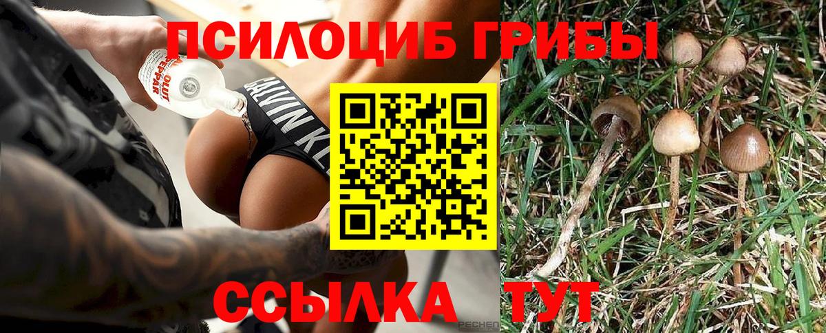 Кызыл  Псилоцибиновые грибы Psilocybe  Вход с VPN  Галлюциногенные грибы Psilocybe 